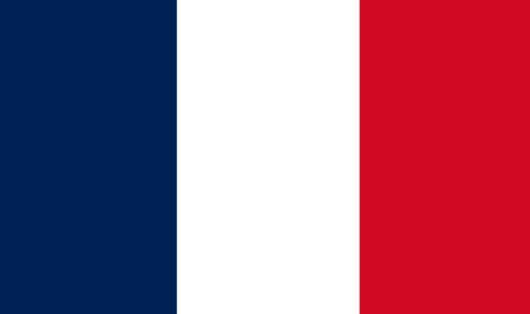 A flag of France